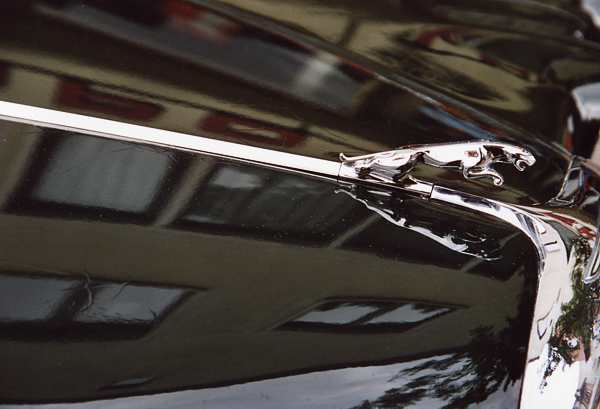 Jaguar 131